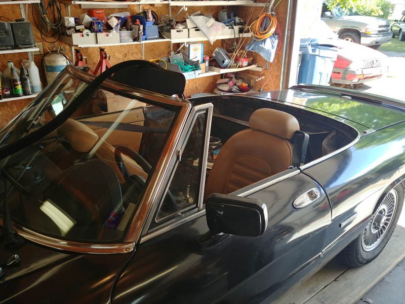Illustration for article titled The Alfa got a new top!
